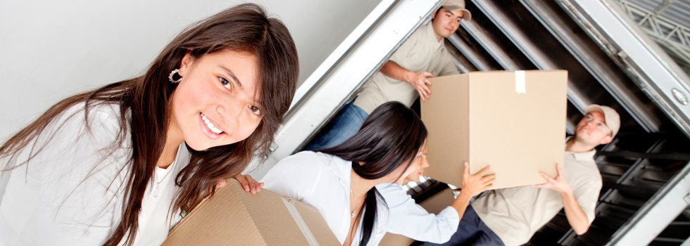 Professional Removalists Coogee NSW
